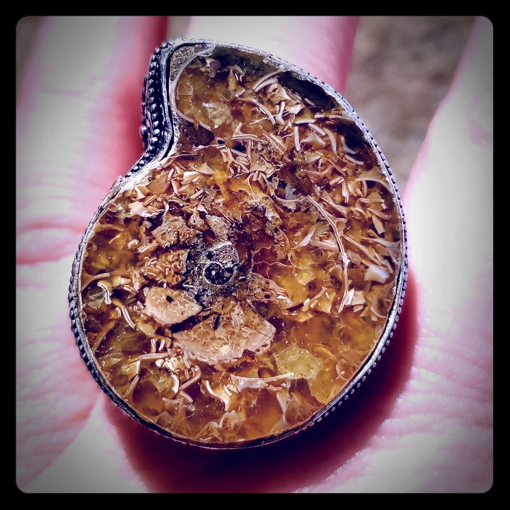 WOW New Ammonite Fossil 925 Silver Statement Ring.
